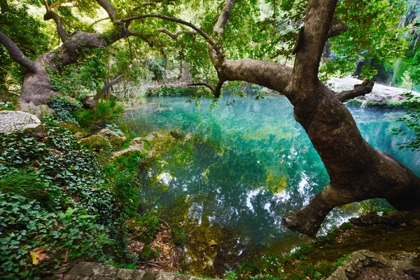 Kursunlu Waterval Park Antalya Turkije Prachtige Faterfall Boszicht — Stockfoto