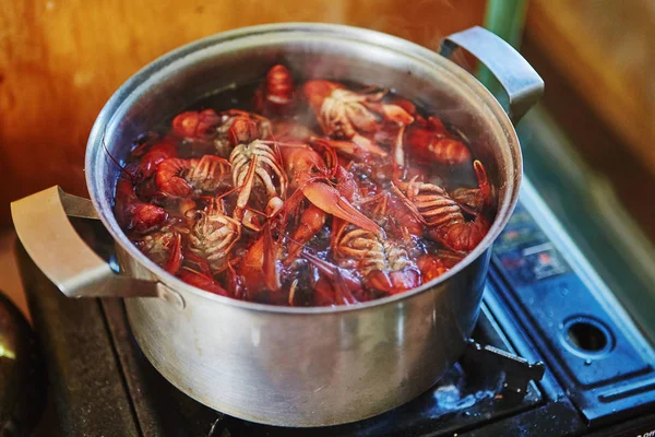 Langoesten Koken Koken Een Pot Met Kruiden — Stockfoto