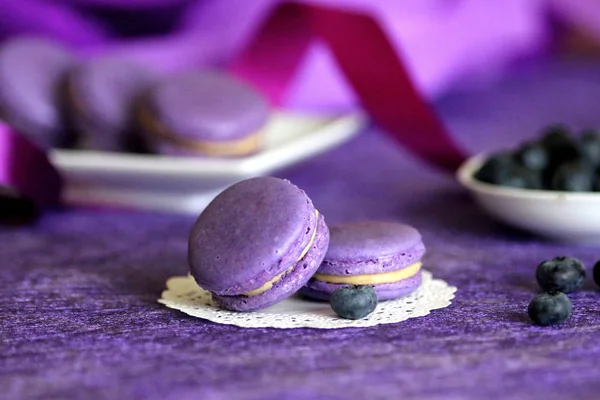 Macaron Blueberry Cookies Sweet Pastry Berries — Stock Photo, Image