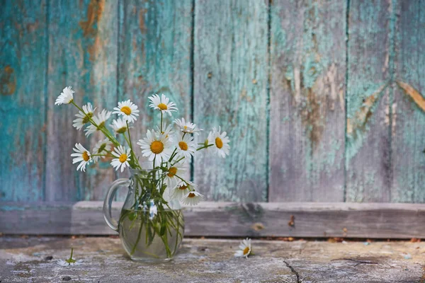 Charming Still Life Copy Space Chamomilles Daisies Water Wood Background — Stock Photo, Image
