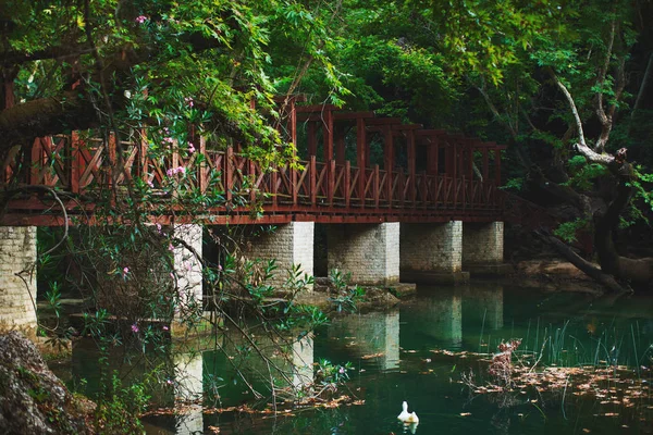 Ponte Velha Através Bela Paisagem Lagoa — Fotografia de Stock