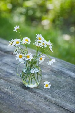 Kopyalama alanı chamomilles ve papatya suyu ile büyüleyici natürmort