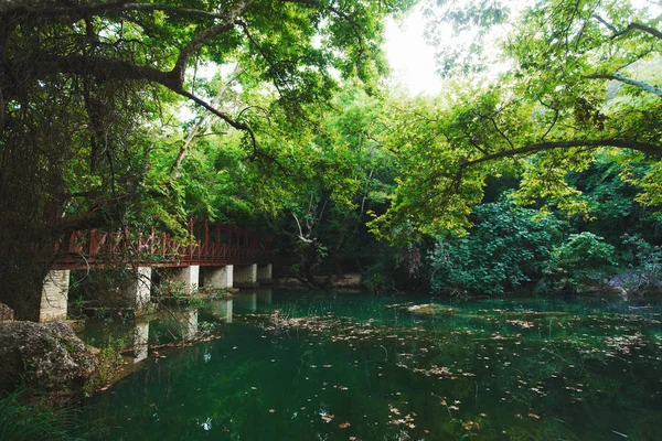 Oude Brug Mooie Vijver Landschap — Stockfoto