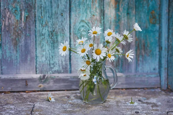 Charming Still Life Copy Space Chamomilles Daisies Water Wood Background — Stock Photo, Image