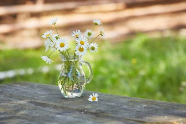 Kopyalama alanı chamomilles ve papatya suyu ile büyüleyici natürmort