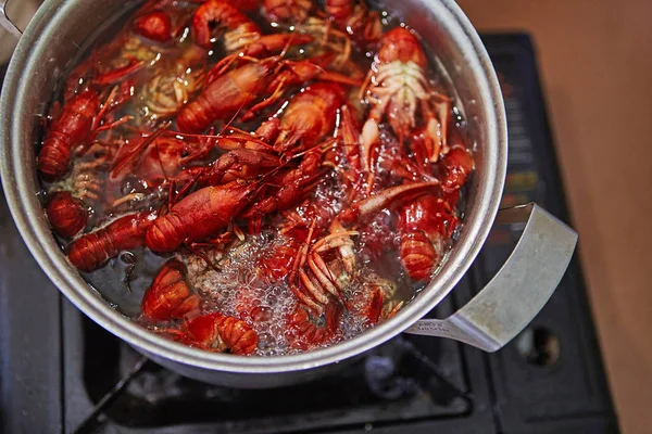 Langoesten Koken Koken Een Pot Met Kruiden — Stockfoto