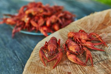 Kerevit pişmiş ve ahşap arka plan üzerinde hizmet