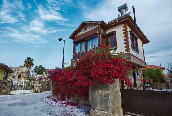 Mediterrane Oude Historische Stad Views Side Turkey Bloeiende Begonville — Stockfoto