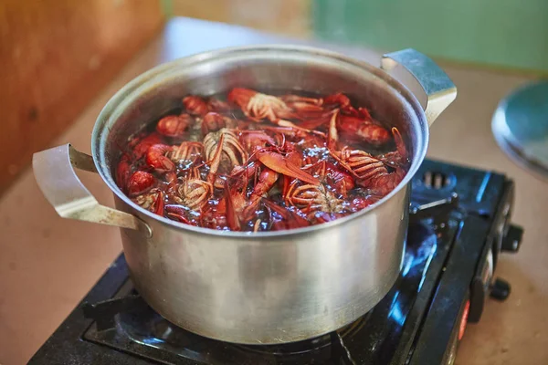 Langoesten Koken Koken Een Pot Met Kruiden — Stockfoto