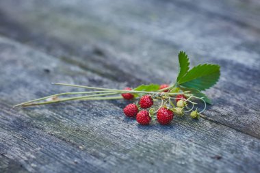 Ormandan taze yaz aldı sürahi orman çilek toplandı