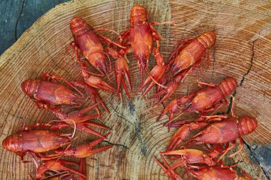 Kerevit pişmiş ve ahşap arka plan üzerinde hizmet