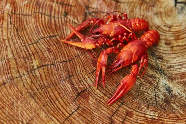 Kerevit pişmiş ve ahşap arka plan üzerinde hizmet