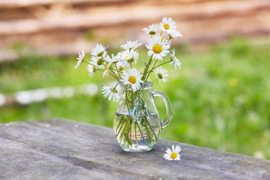 Kopyalama alanı chamomilles ve papatya suyu ile büyüleyici natürmort
