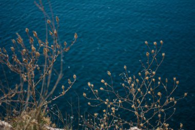 Mavi deniz arka planı. Güzel deniz manzarası. Deniz manzarası. Metin ve tasarım için arkaplan