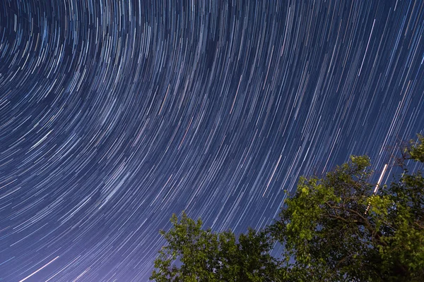 Photo of tracks of stars on a green wood background.