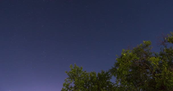 Vídeo Belo Céu Estrelado Noite Filmagem De Stock