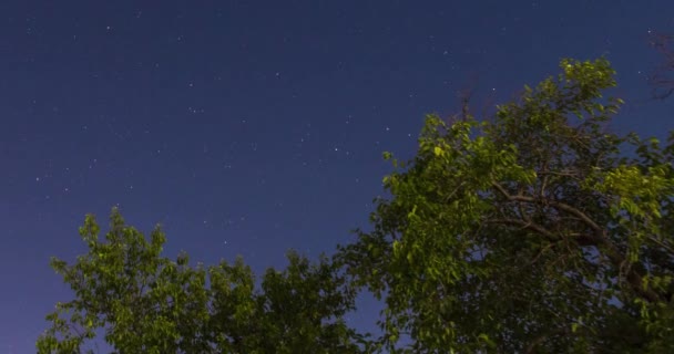 Vídeo Belo Céu Estrelado Noite — Vídeo de Stock