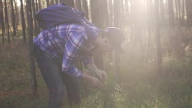 Genç bir adamın doğa gezisine çıktığı ve yabani böğürtlen topladığı görüntüler.