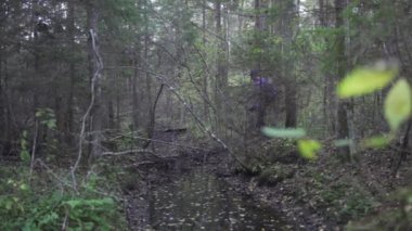 Ormanda yürüyen genç bir adamın görüntüleri.