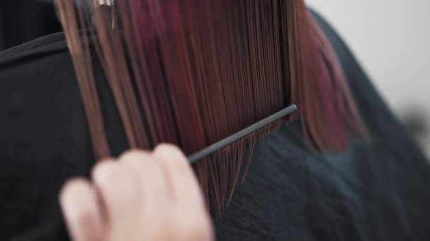 Hände Einer Bis Zur Unkenntlichkeit Gekämmten Friseurin Die Ihren Kunden — Stockvideo