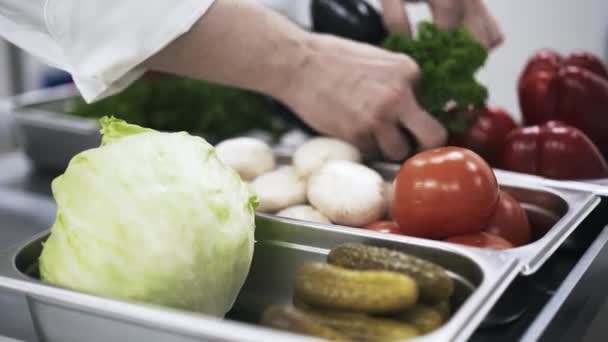 Pizza ingredienser liggande i metall skålar på en restaurang — Stockvideo