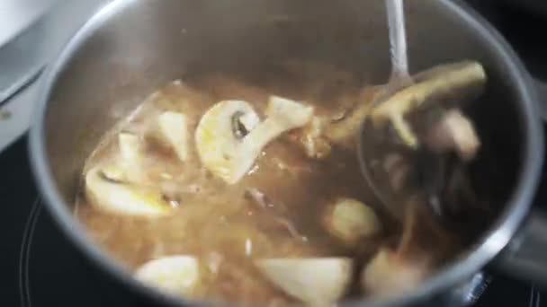 Виготовлення супу з восьминогами і печерицями — стокове відео
