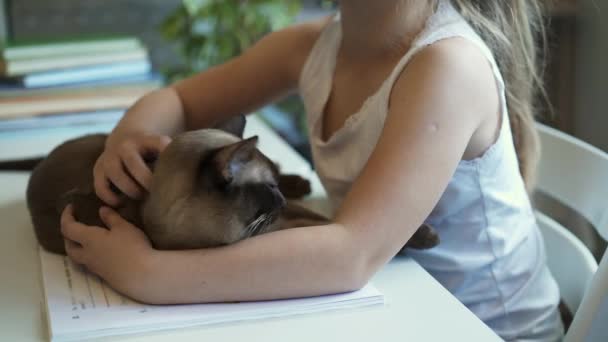 Sidovy av en liten flicka i vit strök hennes katt liggande på bordet — Stockvideo