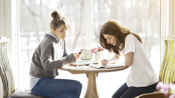 Yüz yüze bir kafede oturan iki kadın arkadaş — Stok fotoğraf