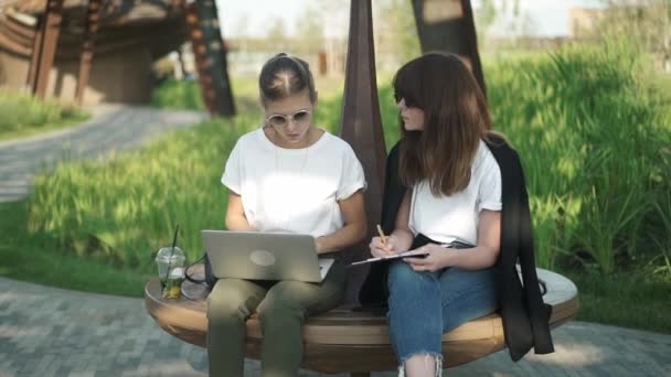 Két gyönyörű és intelligens nő, laptop dolgozik vagy tanul a nyári park — Stock videók
