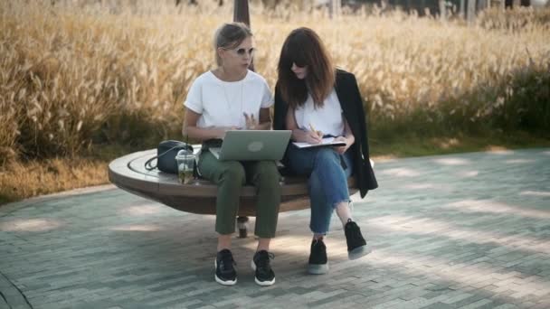 Dos mujeres jóvenes hablando de trabajo o estudio en el parque de verano — Vídeo de stock