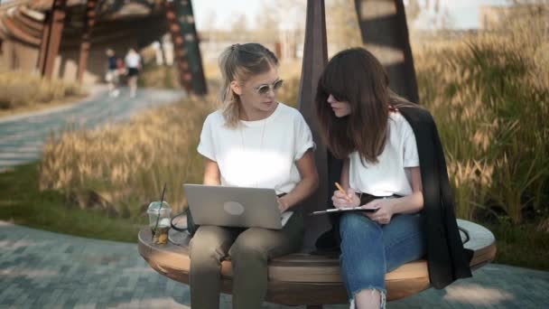 Zwei attraktive und kluge Frauen, die mit Laptop arbeiten oder im Sommerpark studieren — Stockvideo
