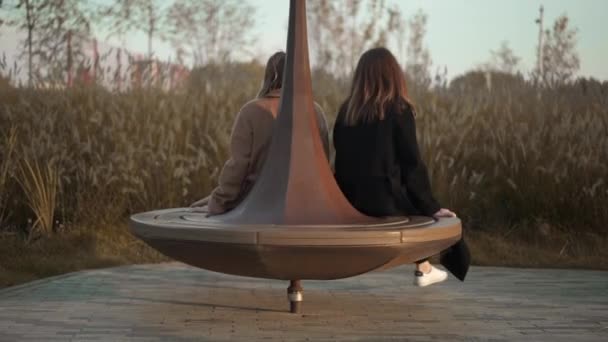Dos mujeres jóvenes girando en la parte superior de azotes gigantes en el parque haciendo caras divertidas — Vídeo de stock