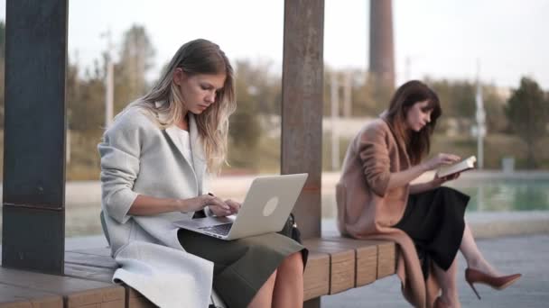 妇女工作在膝上型计算机上的长凳附近池塘, 而她的朋友阅读书 — 图库视频影像
