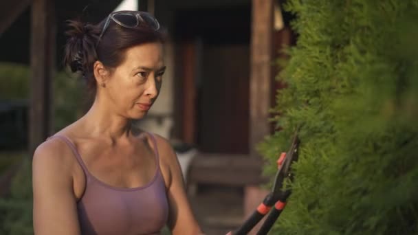 Smiling asian woman with shears cutting a tree in her garden — Stock Video