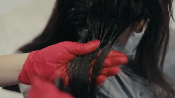 Nahaufnahme eines Friseurs, der eine Strähne einer dunkelhaarigen Frau hält und färbt — Stockvideo