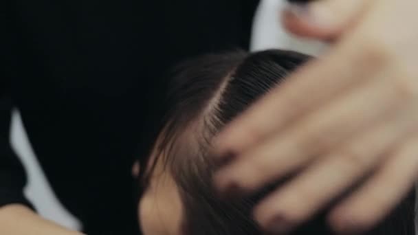 Gros plan de coiffeur peignage femme aux cheveux bruns — Video