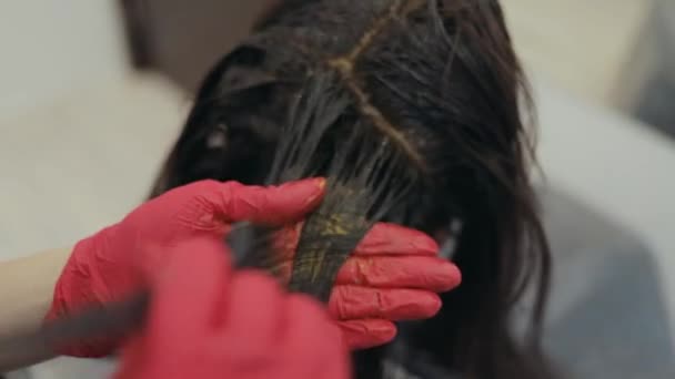 Primo piano del filo da colorare del parrucchiere di una donna dai capelli scuri — Video Stock