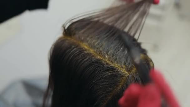 El primer plano de la peluquería para colorear una hebra de mujer de pelo oscuro — Vídeo de stock