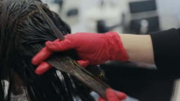 Primer plano de peluquero sosteniendo y coloreando una hebra de una mujer de pelo oscuro — Vídeo de stock