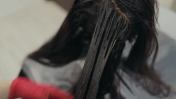 Крупным планом парикмахера, держащего и окрашивающего прядь темноволосой женщины — стоковое видео