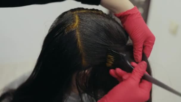 Friseur färbt Haarwurzeln der dunkelhaarigen Frau — Stockvideo