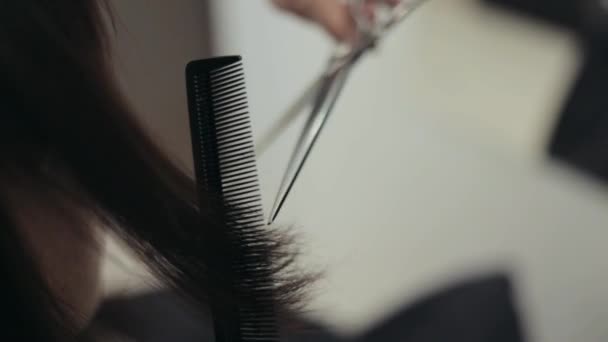 Gros plan du coiffeur coupant les cheveux longs foncés — Video
