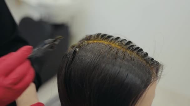 Hairdresser coloring hair roots of dark-haired woman — Stock Video