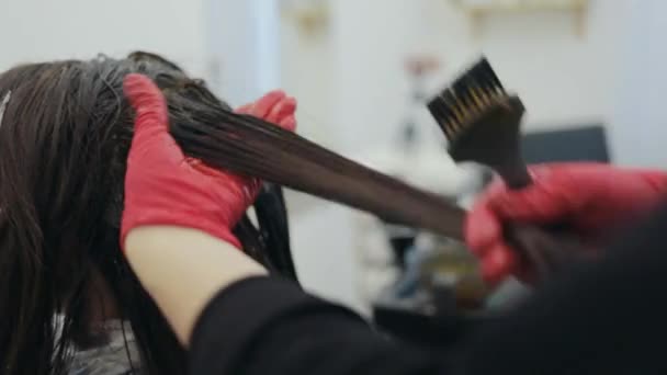 El primer plano de la peluquería para colorear una hebra de una mujer de pelo oscuro — Vídeo de stock