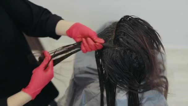 Peluquería colorear una hebra de una mujer de pelo oscuro — Vídeo de stock