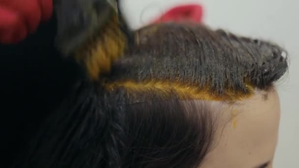 Close-up of hairdresser coloring strands of a dark-haired woman — Stok Video