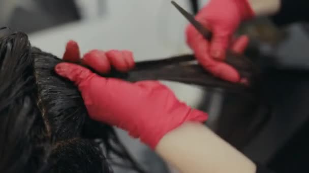 Nahaufnahme eines Friseurs, der eine Strähne einer dunkelhaarigen Frau färbt — Stockvideo