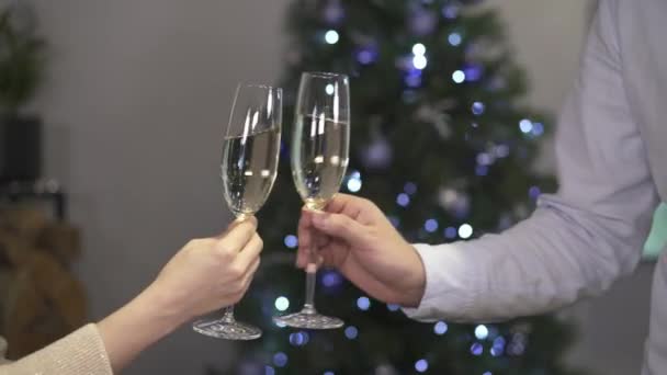 Cinkání sklenic šampaňského na pozadí vánoční stromeček — Stock video
