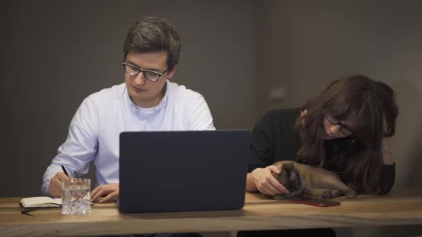 Masculino e feminino com um gato conversando na frente do laptop — Vídeo de Stock