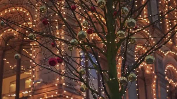 Draußen kahle Bäume mit rotgoldenen Weihnachtskugeln geschmückt — Stockvideo